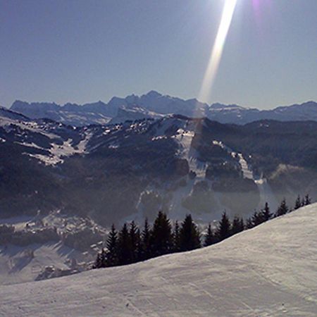 Les Gets Le Grand Paradis Zewnętrze zdjęcie